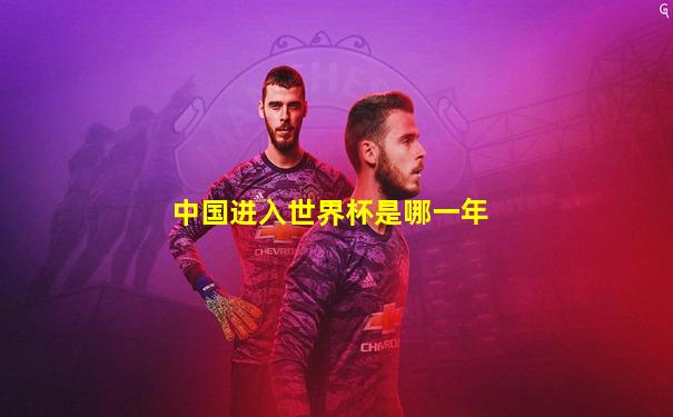 中国进入世界杯是哪一年