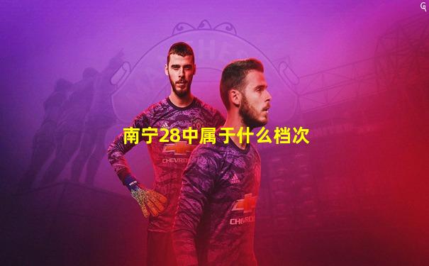 南宁28中属于什么档次