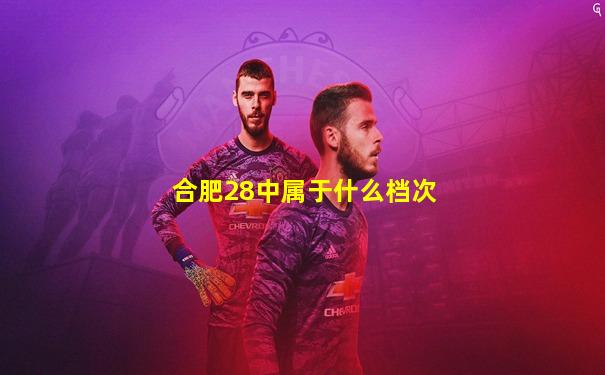 合肥28中属于什么档次