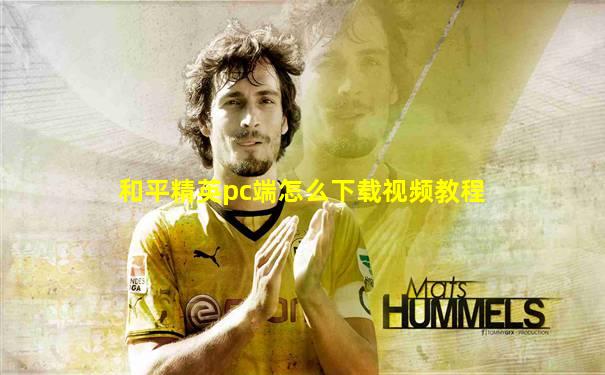 和平精英pc端怎么下载视频教程
