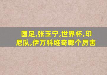 国足,张玉宁,世界杯,印尼队,伊万科维奇哪个厉害