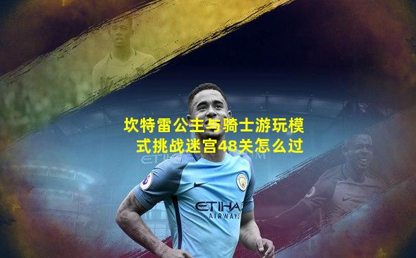 坎特雷公主与骑士游玩模式挑战迷宫48关怎么过