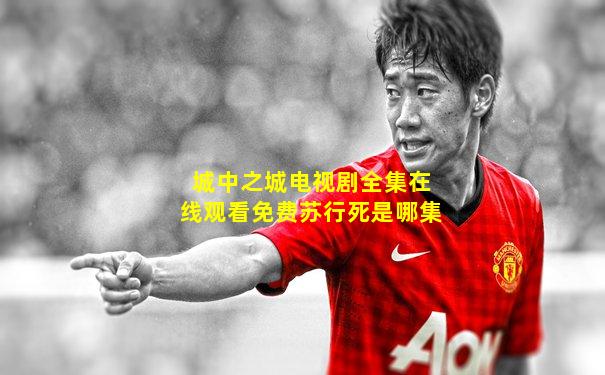 城中之城电视剧全集在线观看免费苏行死是哪集