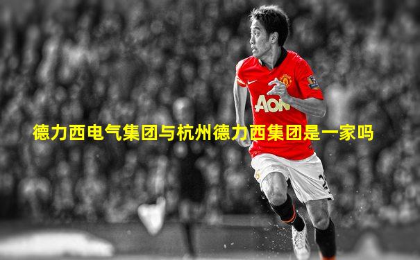德力西电气集团与杭州德力西集团是一家吗