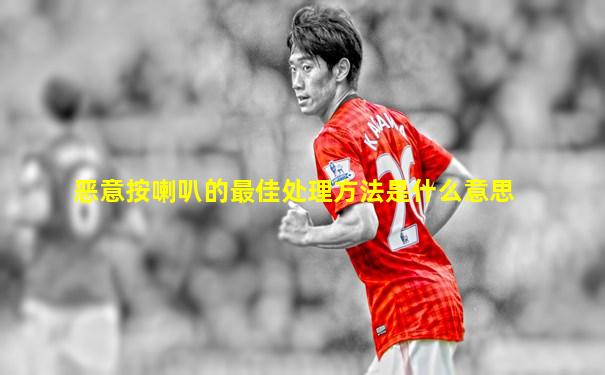 恶意按喇叭的最佳处理方法是什么意思