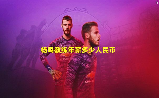 杨鸣教练年薪多少人民币