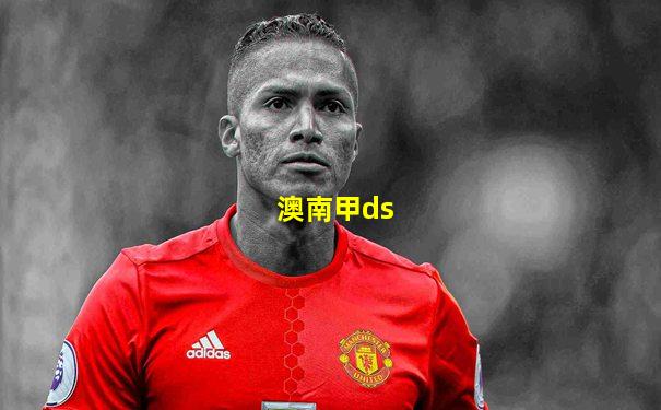 澳南甲ds