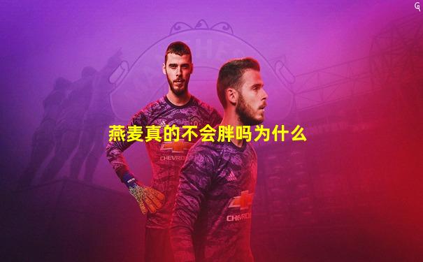 燕麦真的不会胖吗为什么