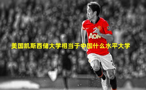 美国凯斯西储大学相当于中国什么水平大学