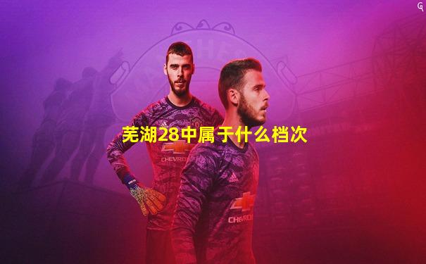 芜湖28中属于什么档次