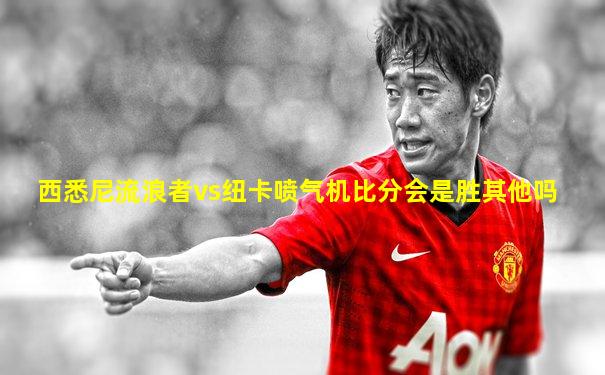 西悉尼流浪者vs纽卡喷气机比分会是胜其他吗