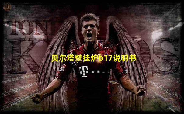 贝尔塔壁挂炉b17说明书