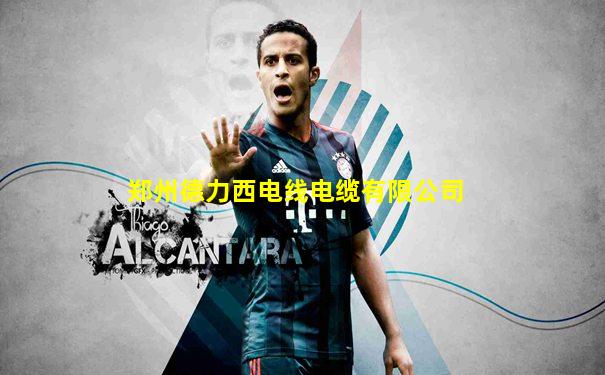 郑州德力西电线电缆有限公司