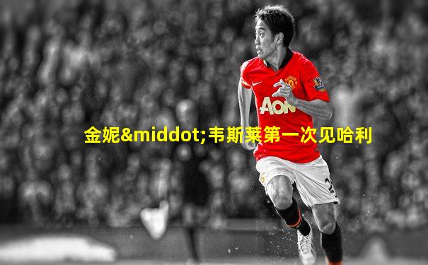 金妮·韦斯莱第一次见哈利