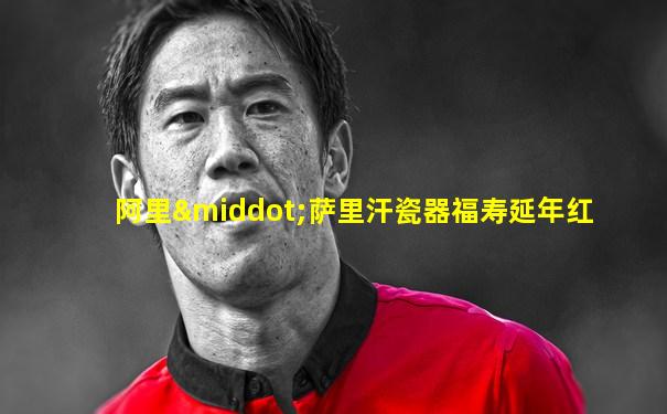 阿里·萨里汗瓷器福寿延年红
