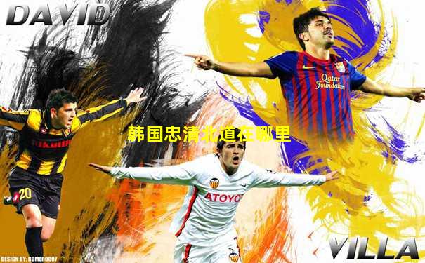 韩国忠清北道在哪里