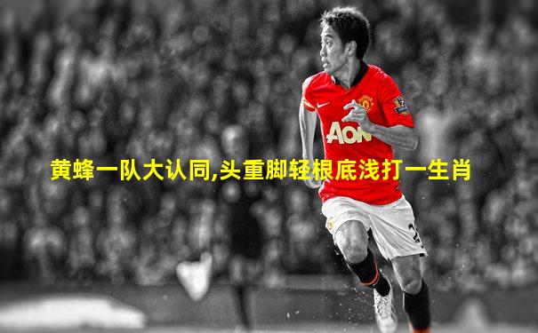 黄蜂一队大认同,头重脚轻根底浅打一生肖