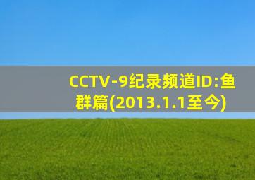 CCTV-9纪录频道ID:鱼群篇(2013.1.1至今)