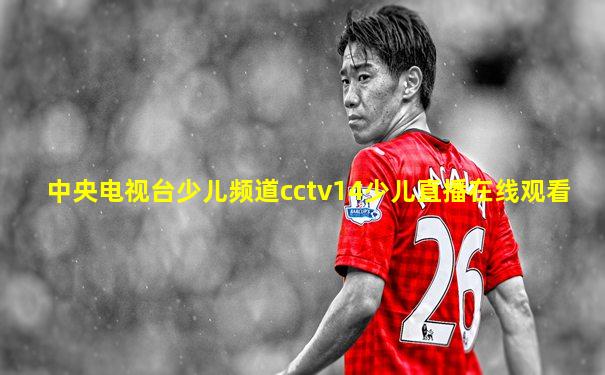 中央电视台少儿频道cctv14少儿直播在线观看