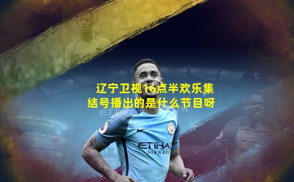 辽宁卫视16点半欢乐集结号播出的是什么节目呀